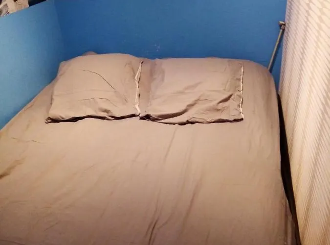 Confortable A De 25 M² Avec Jardin